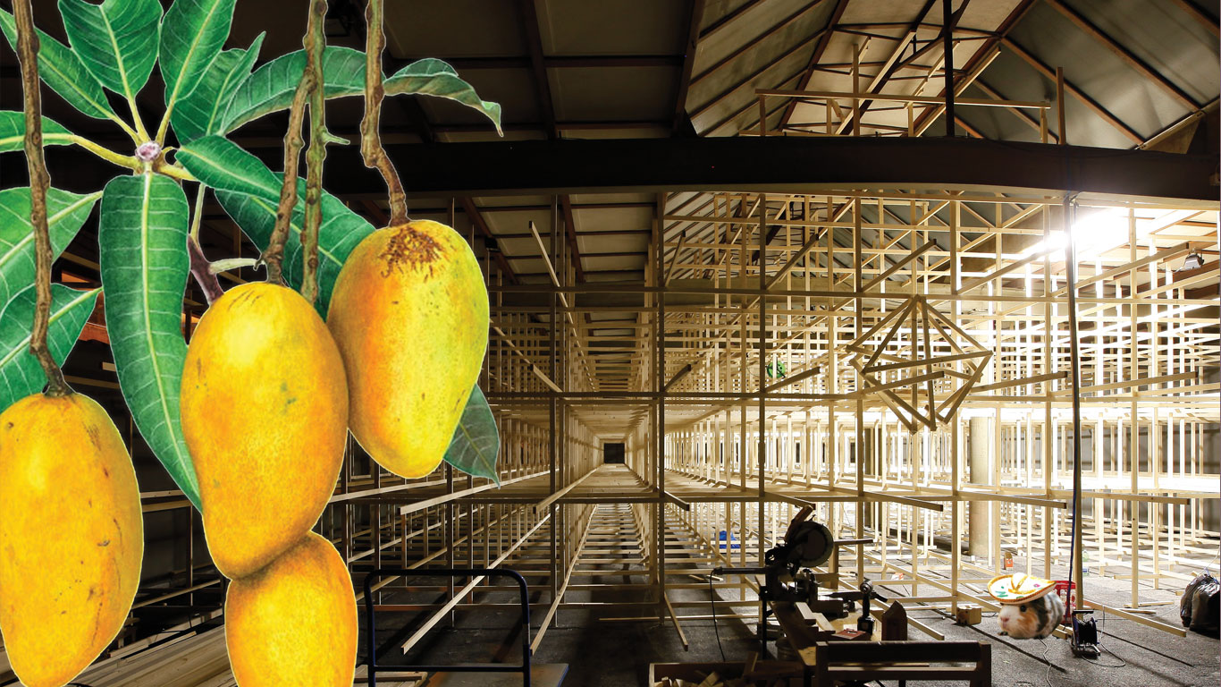Mango di Verni Ausstellung Kunsthalle Arbon